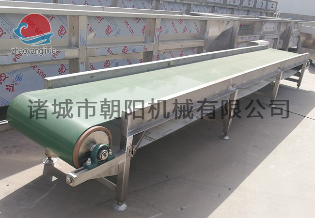 Cage conveyor belt